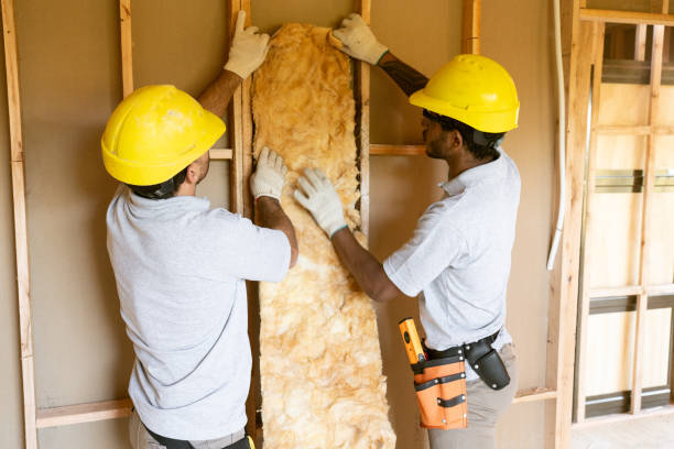 Best Radiant Barrier Insulation  in Tioga, TX